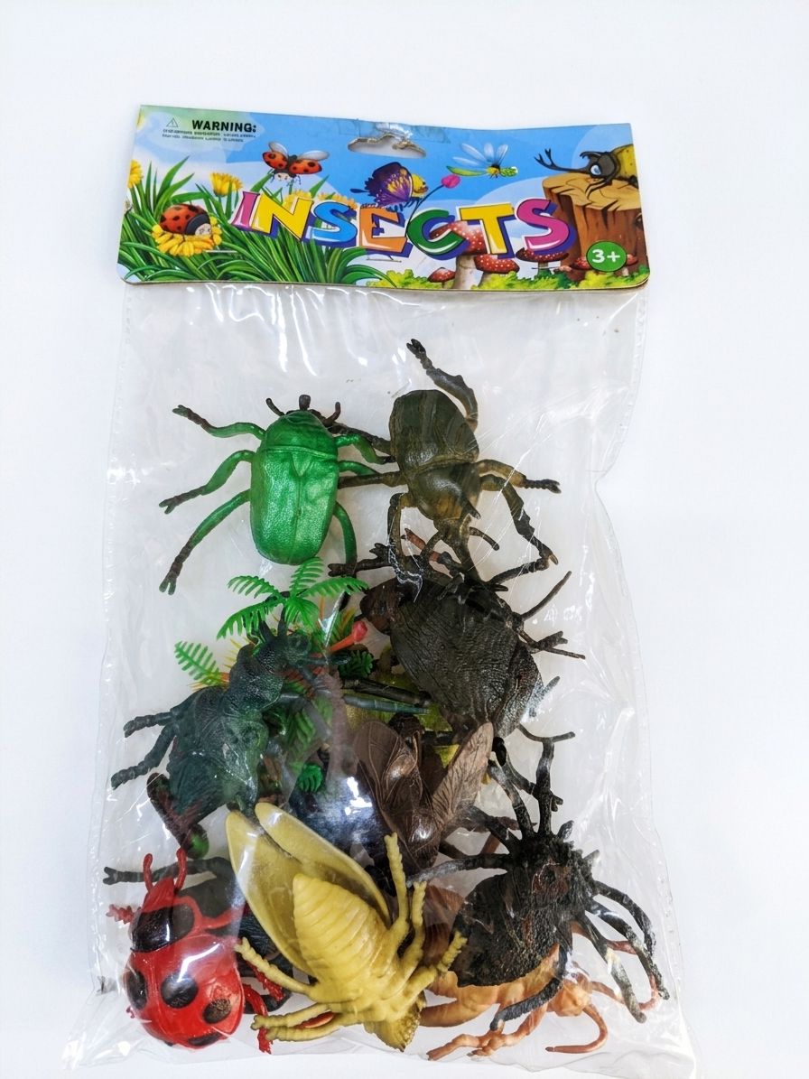 Insects 